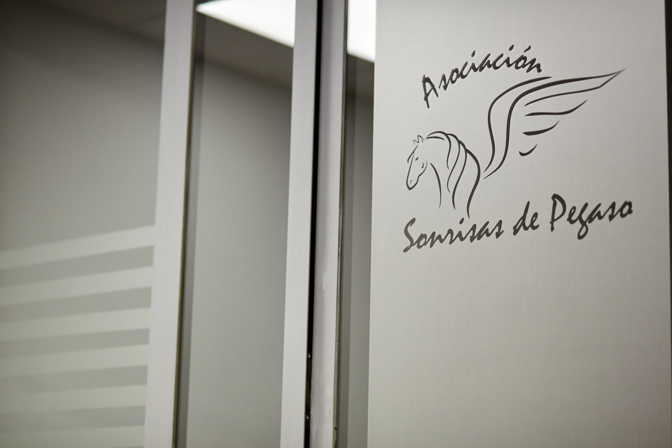 fundacion sonrisas de pegaso fundacion sonrisas de pegaso